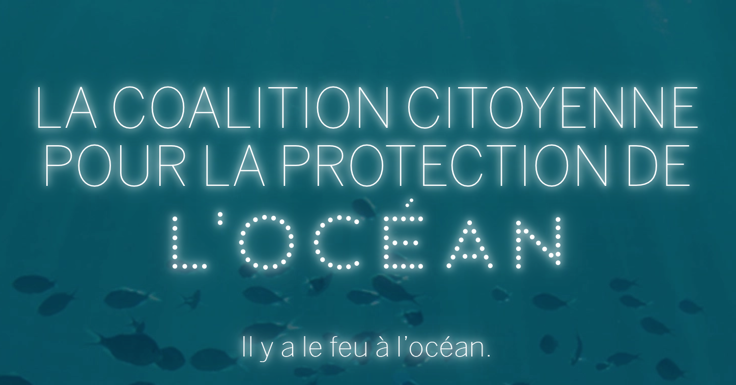 Lancement d’une coalition citoyenne pour la protection de l’océan